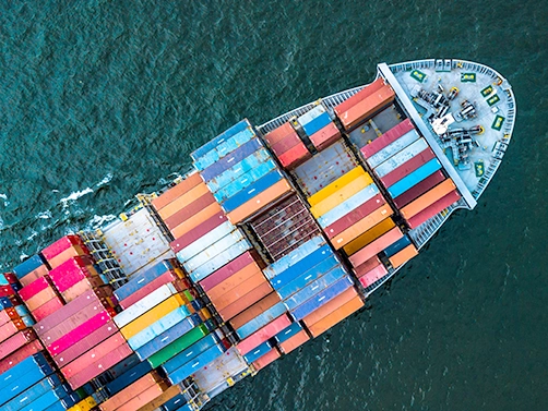 Export Market Milestone